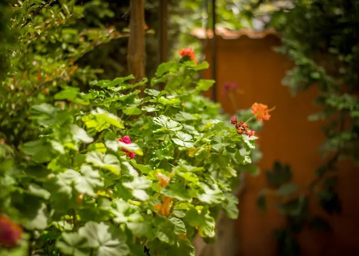 Hotel Family Saint Iliya